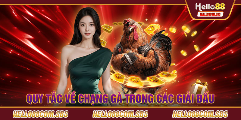 Quy tắc về chạng gà trong các giải đấu